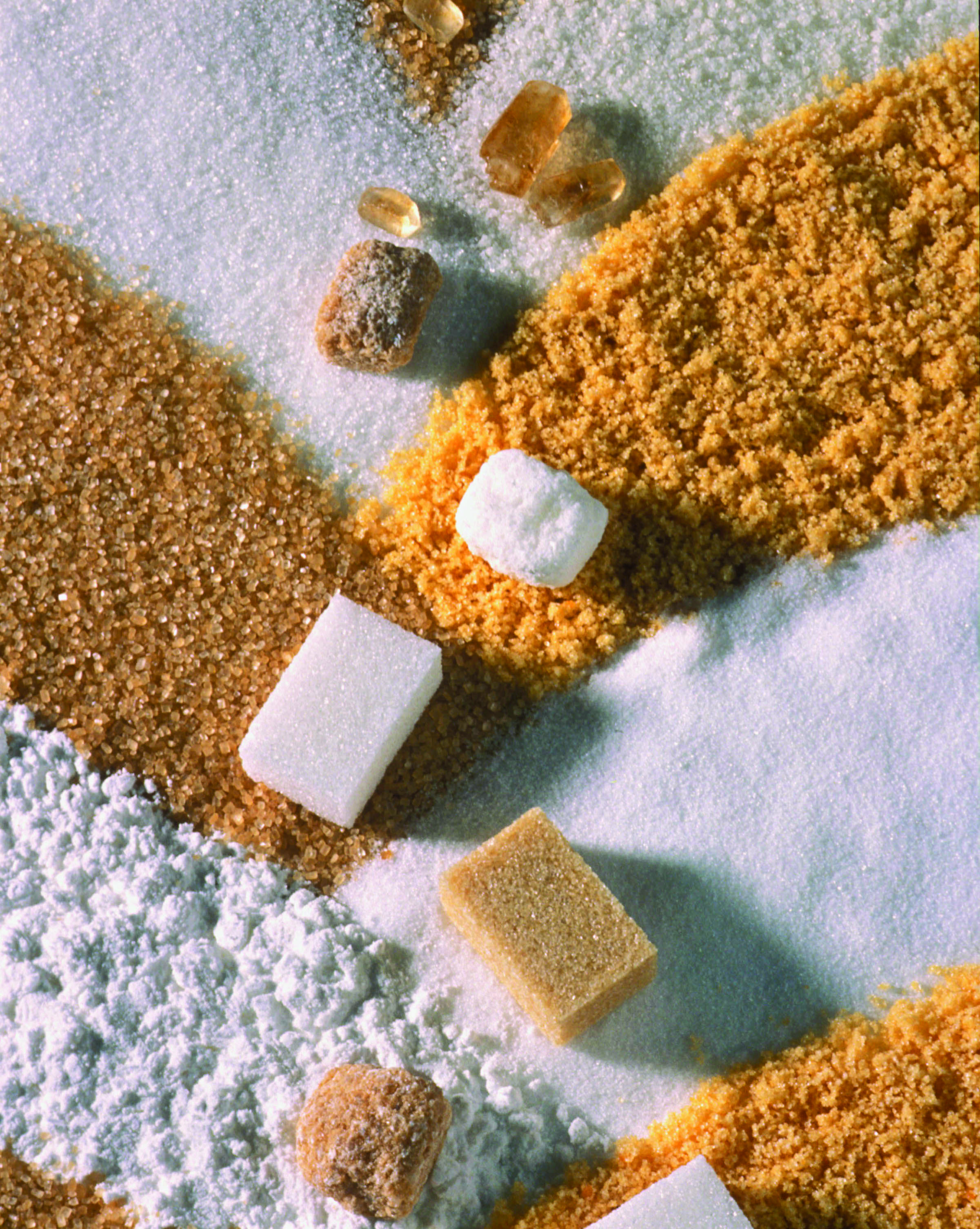 Remarquables performances environnementales de la production de sucre aux Pays-Bas