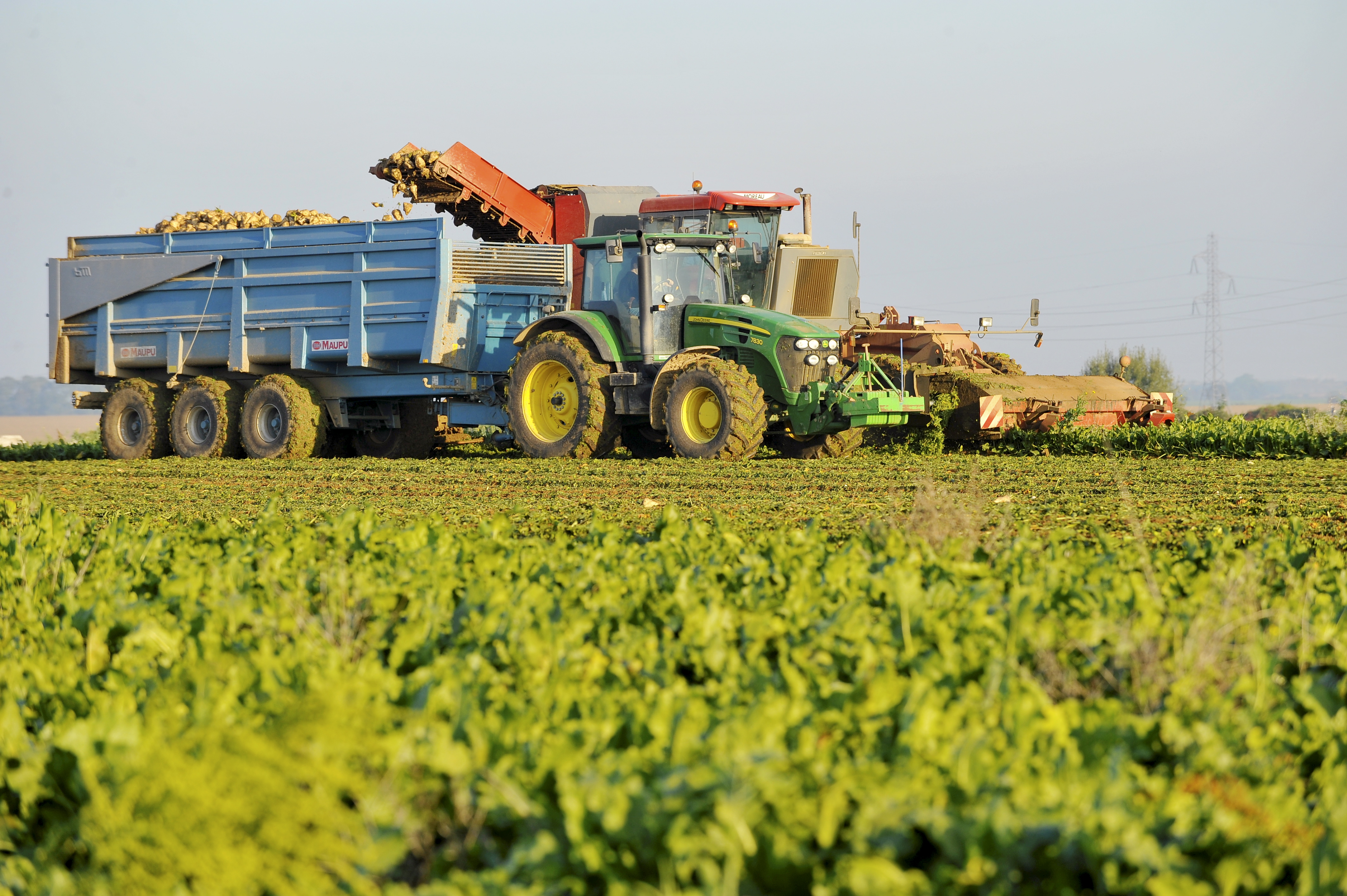 Durabilité environnementale des exploitations agricoles et des cultures betteravières et cannières