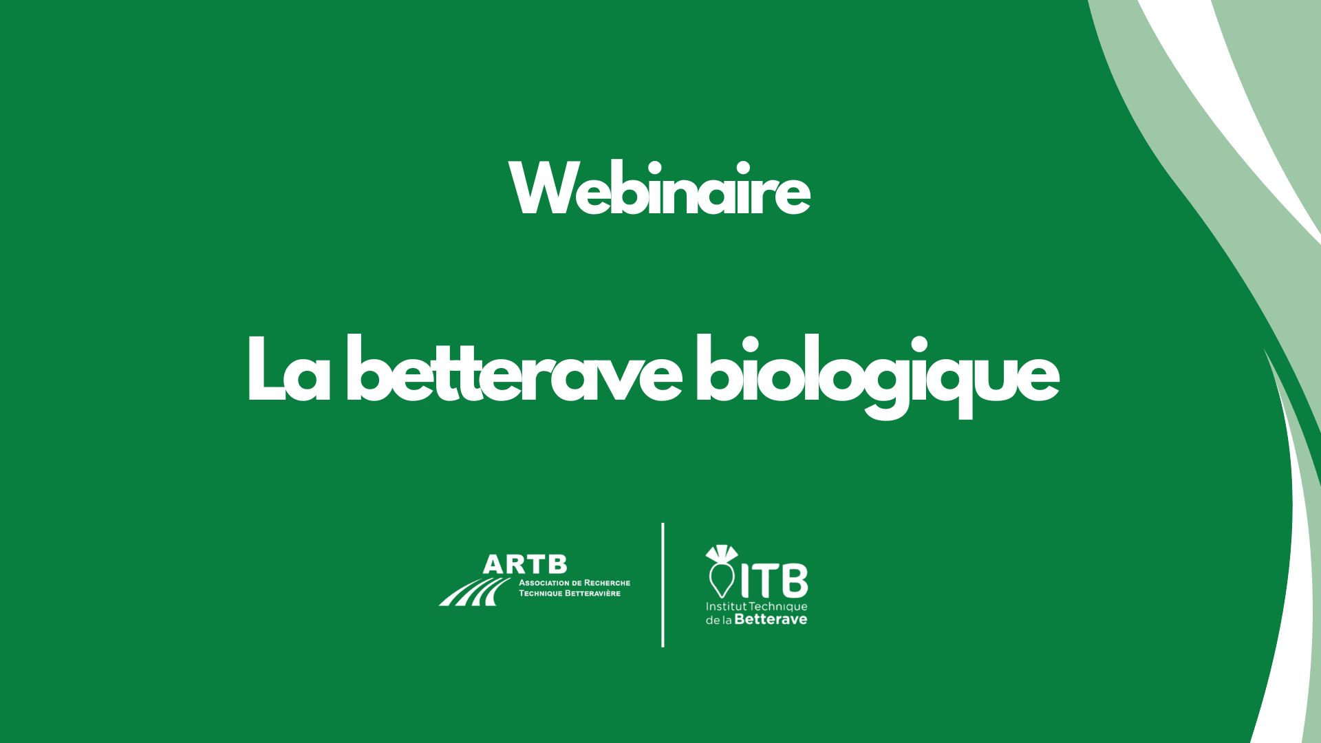 La betterave BIOLOGIQUE