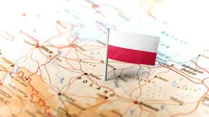 La filière betteravière polonaise et la gestion des risques sanitaires 2025