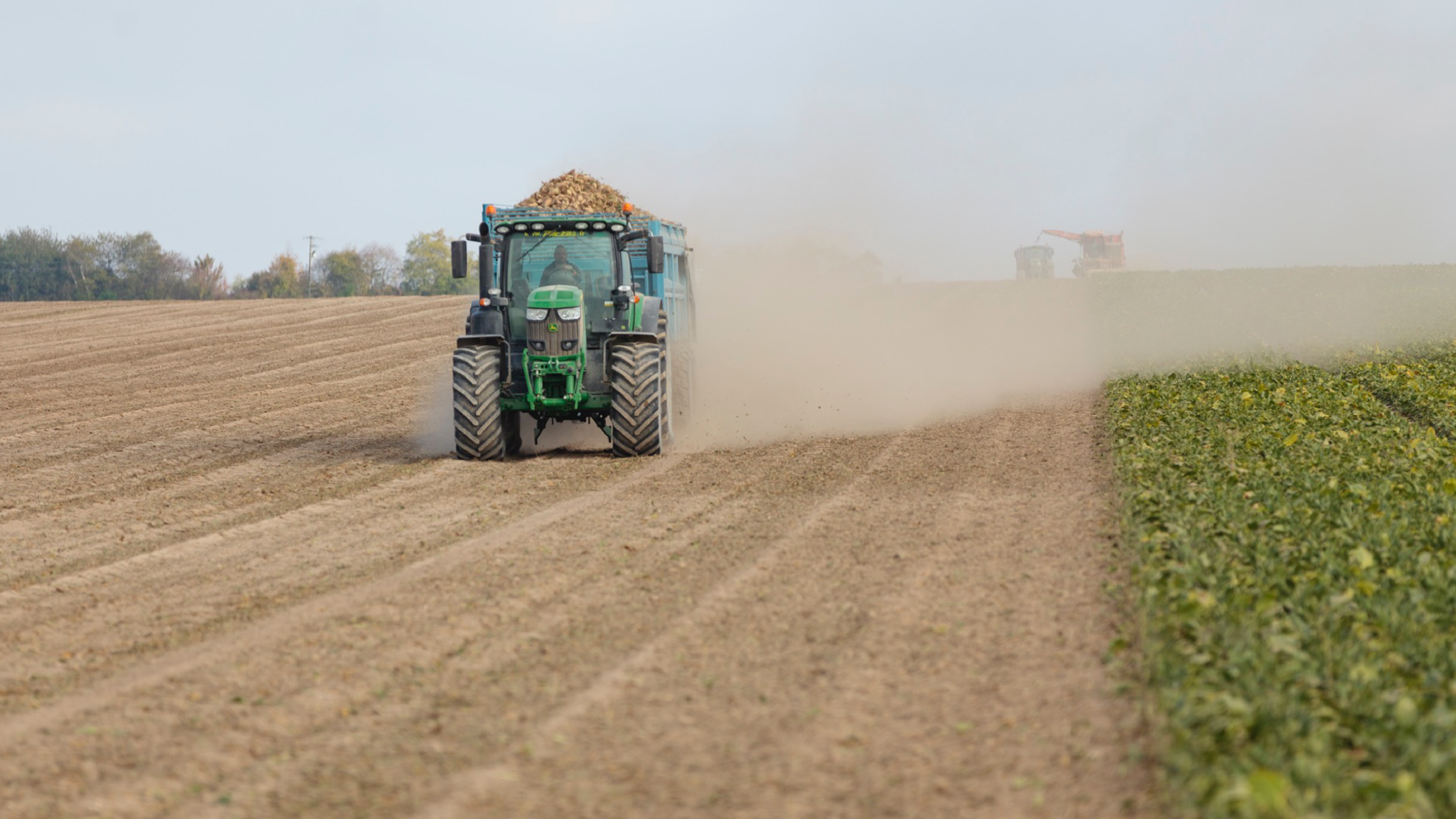 Coût de production betteraves France en 2019