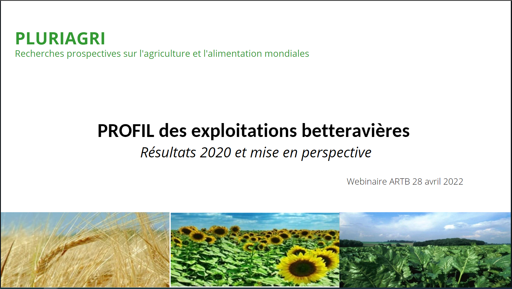 Profil des betteraviers 2020