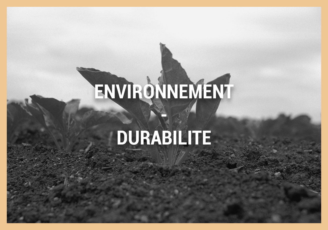 ENVIRONNEMENT – DURABILITE