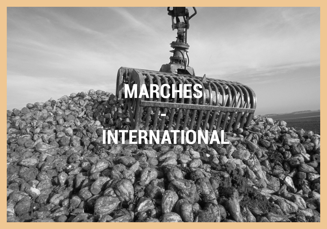 MARCHES – INTERNATIONAL