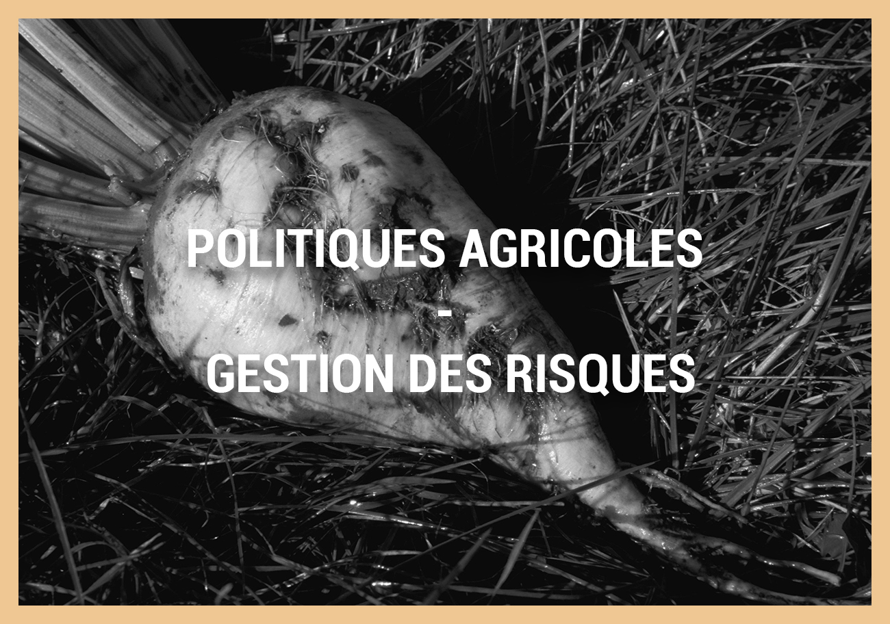 POLITIQUES AGRICOLES – GESTION DES RISQUES