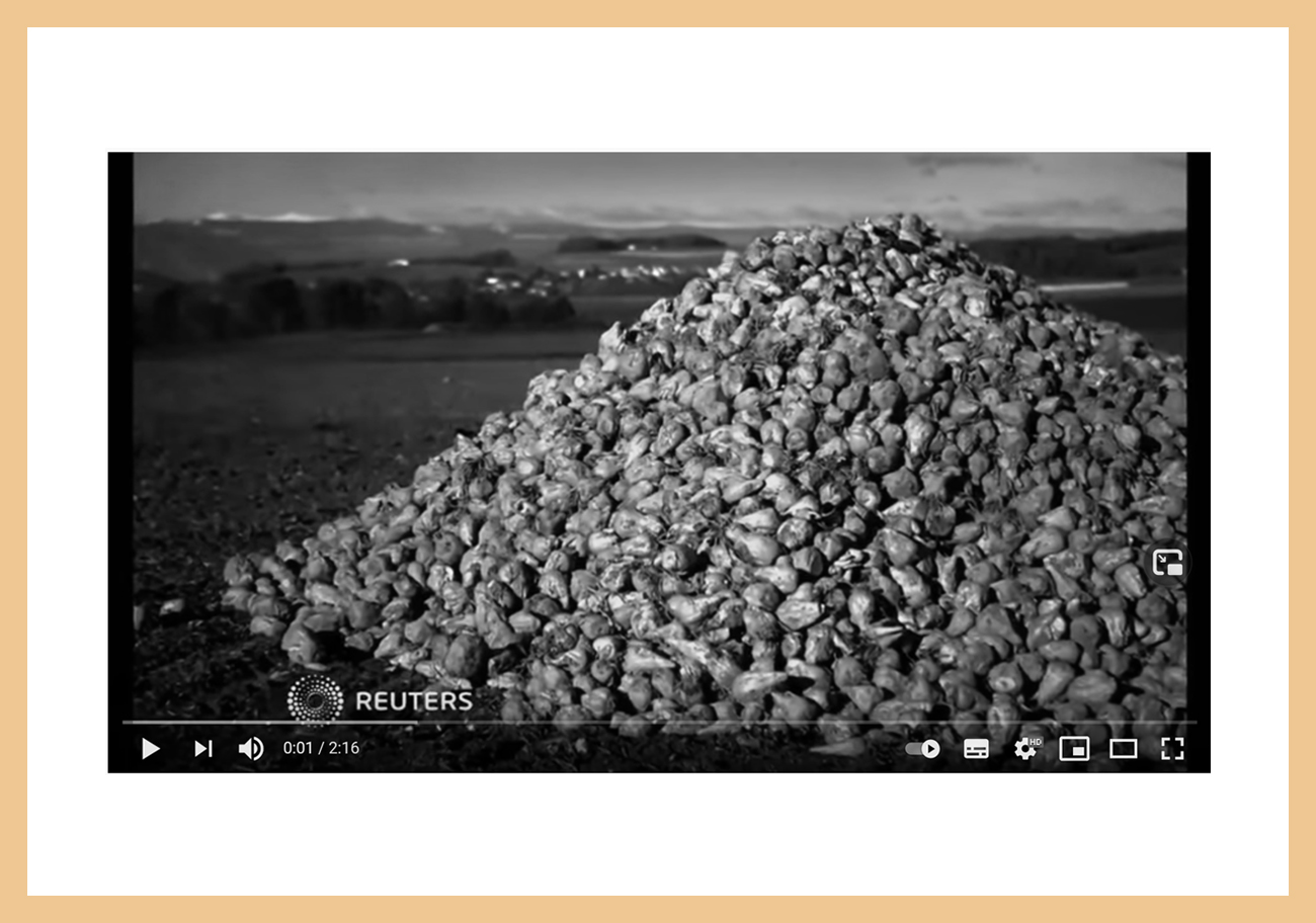 Coût de production betteraves France