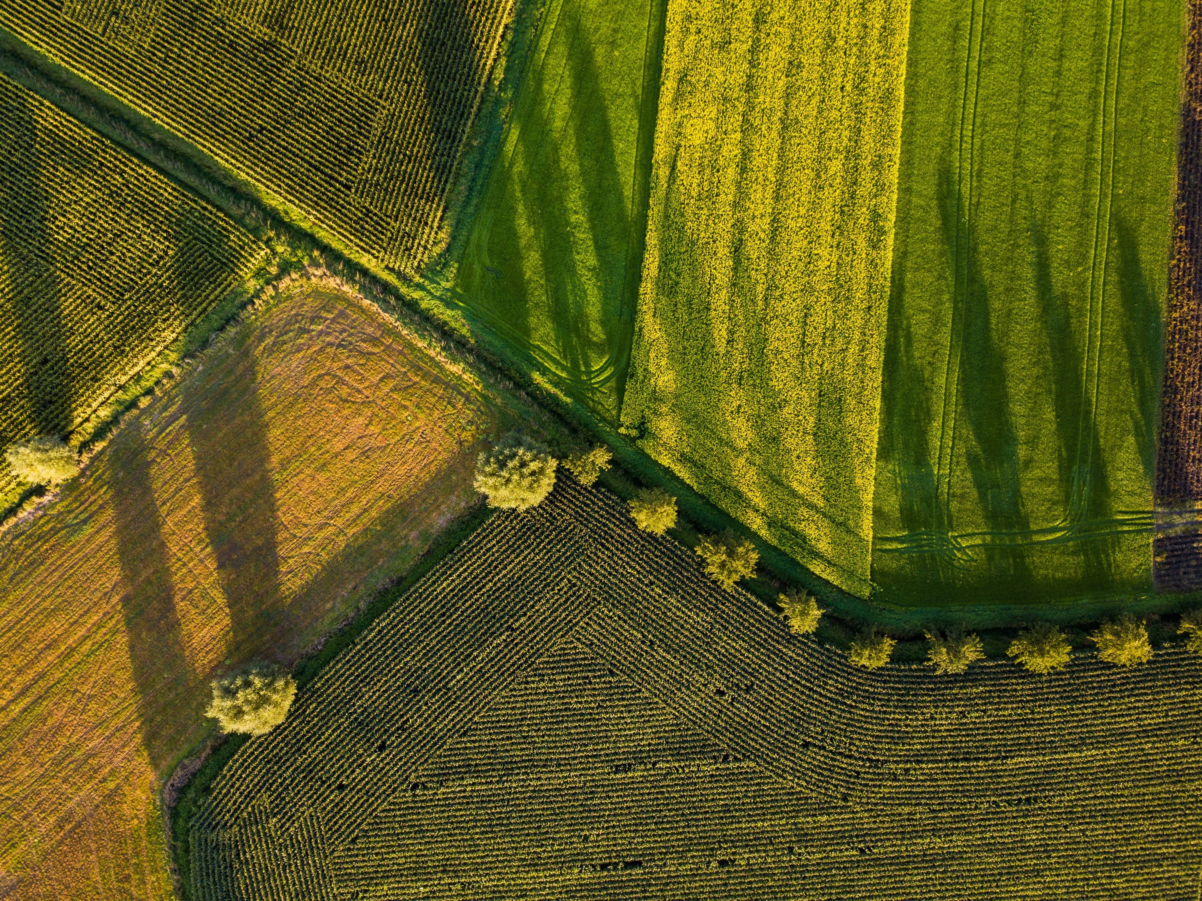 Concilier rentabilité économique et action climatique