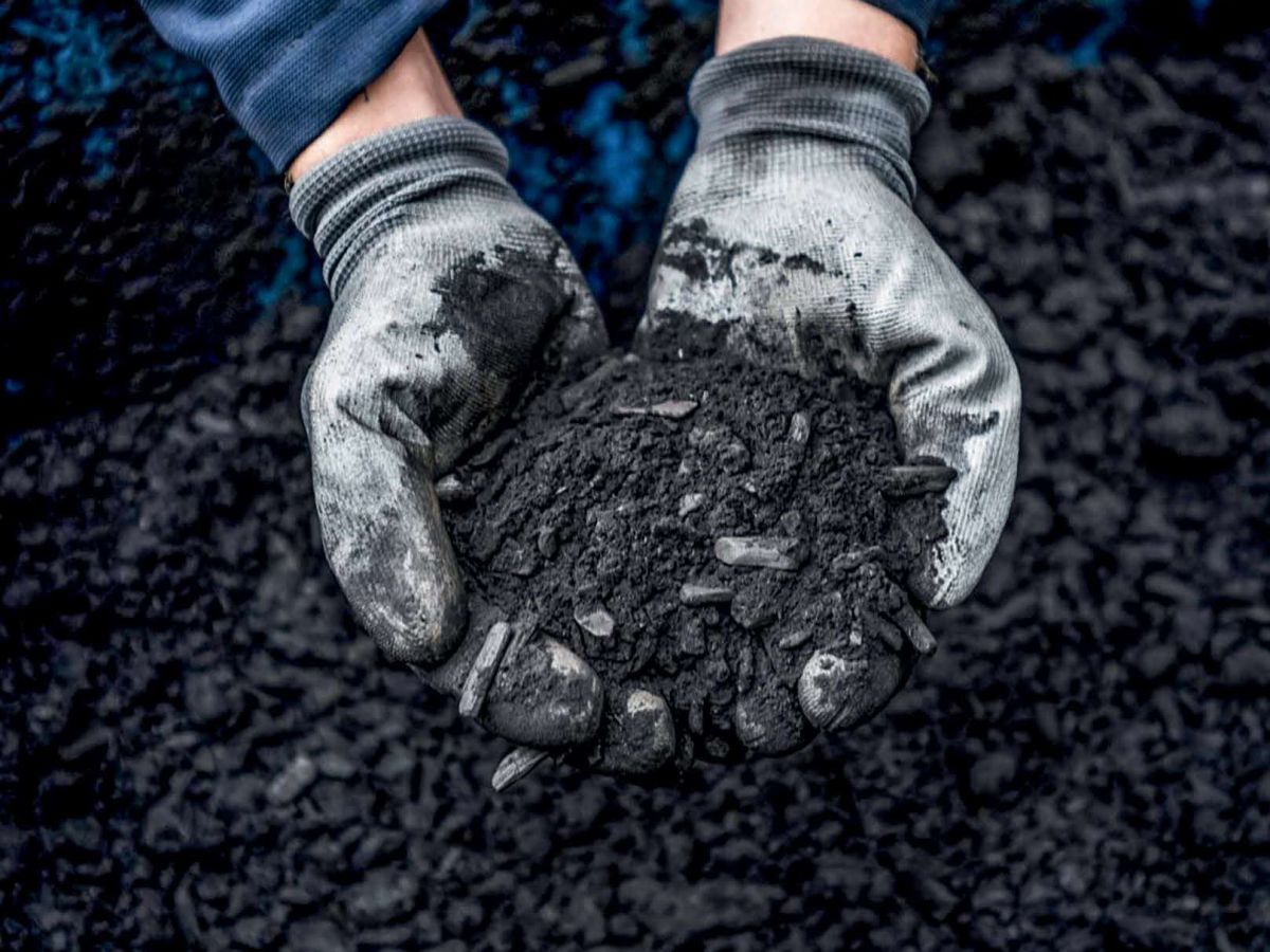 Le biochar: quel intérêt en agriculture ? 