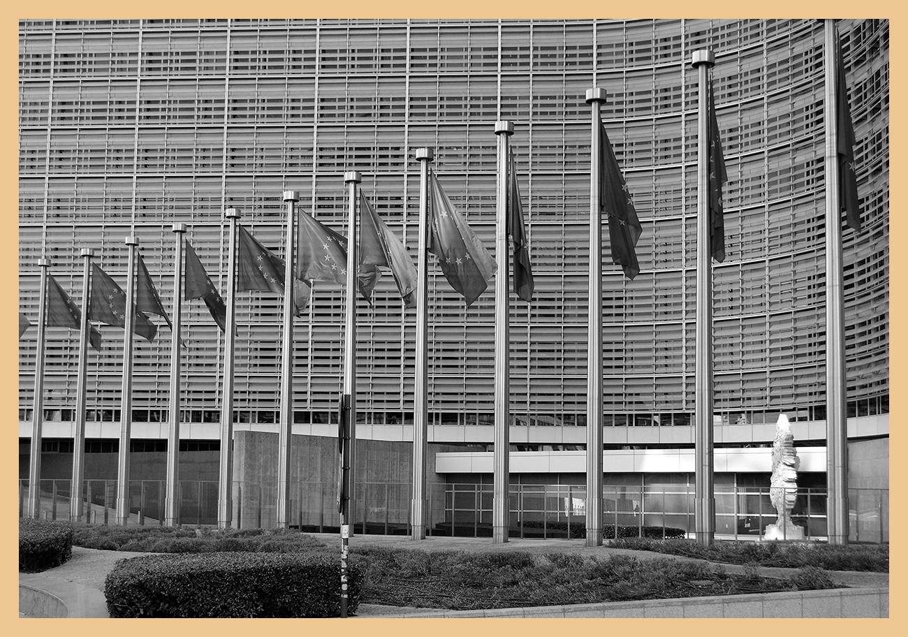 Pacte Vert européen : point sur les différentes études d’impact existantes 
