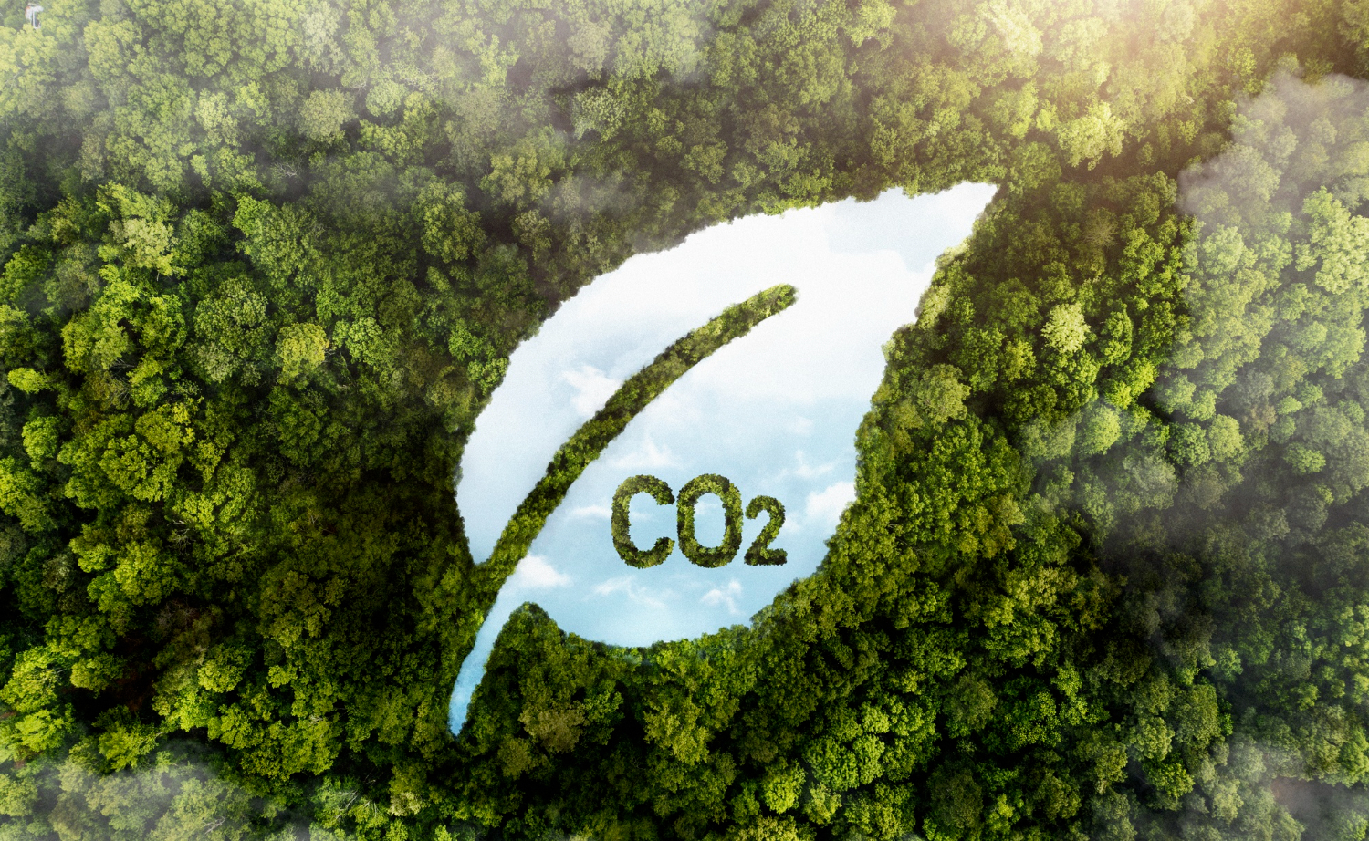 Les cycles du carbone durables et l’agriculture bas carbone