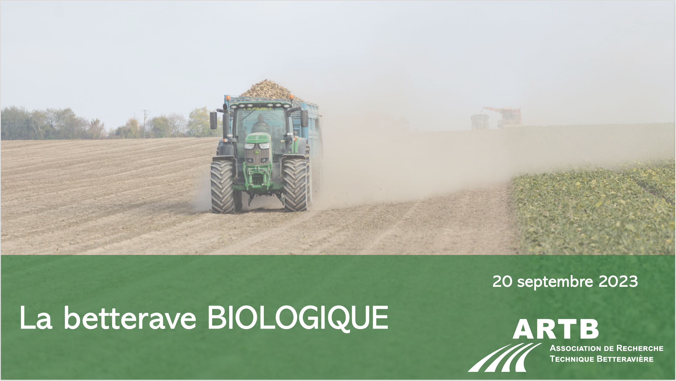 La betterave BIOLOGIQUE